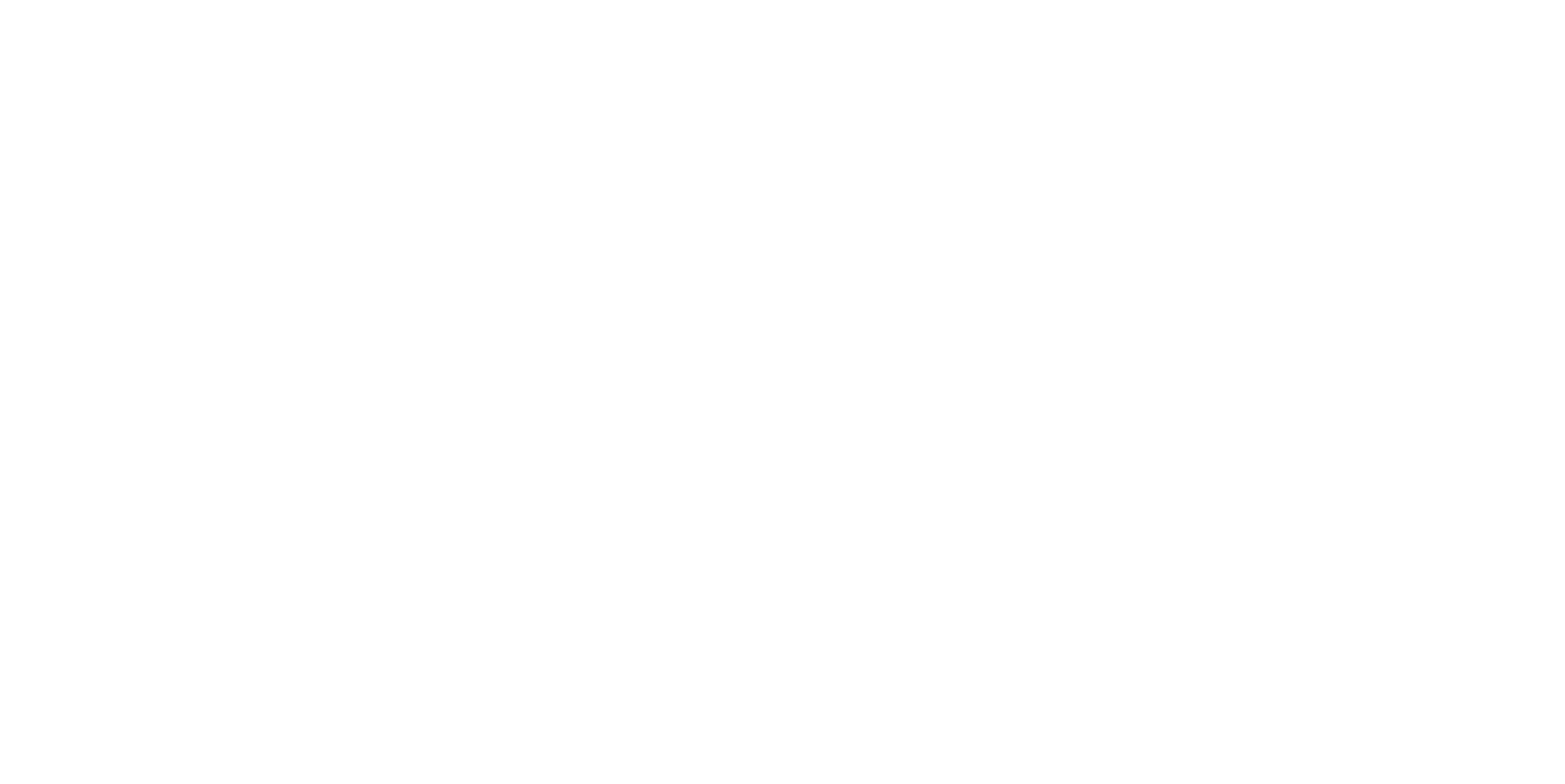 Stcrz Logo